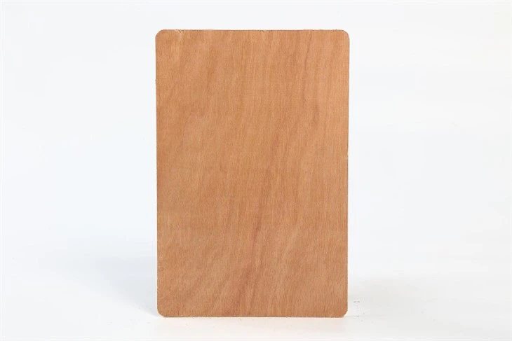 combi core Bintangor plywood